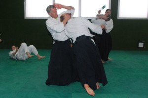 aikido_2016_SVKurs (1)