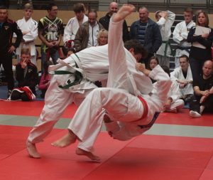 judo_2016rlpmm-01